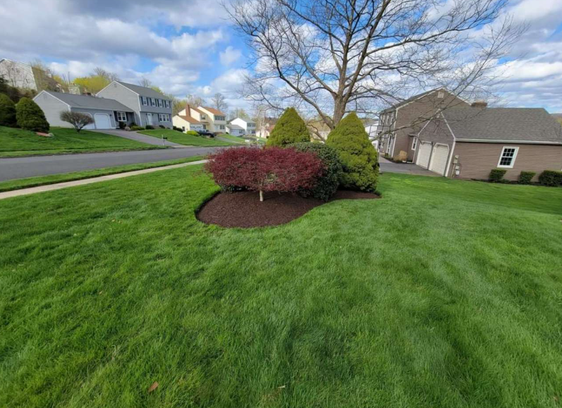 Vibrant Lawn with Mulched Garden Bed